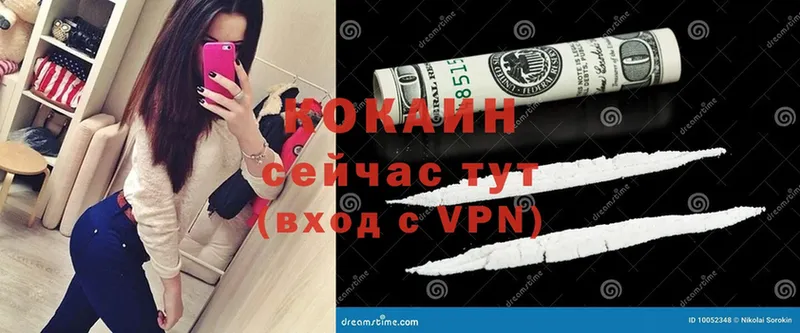 как найти закладки  blacksprut tor  Cocaine Эквадор  Сертолово 